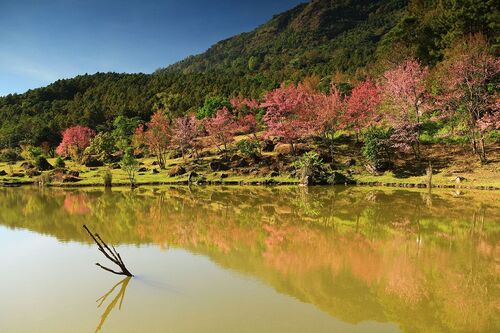 Audioguida di Chiang Mai: esplora il Parco Nazionale Doi Inthanon