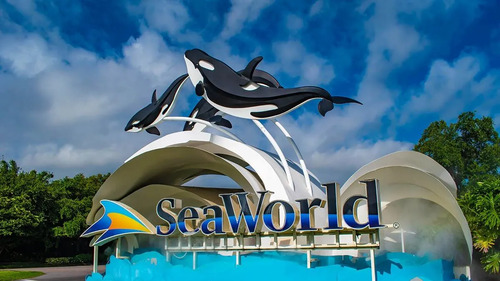 Jakarta Audio guide: Explore Sea World Ancol