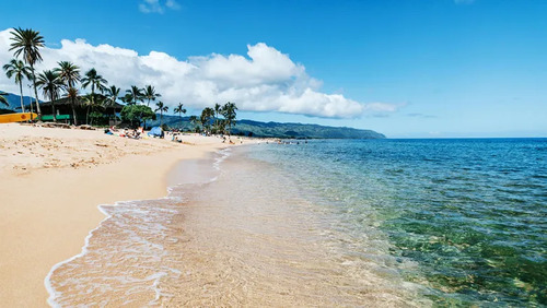 Honolulu Audio guide: Explore North Shore