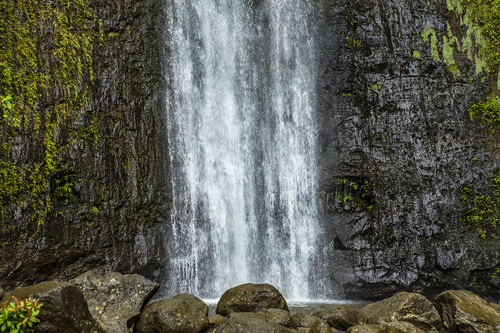 Honolulu Audio guide: Explore Manoa Falls