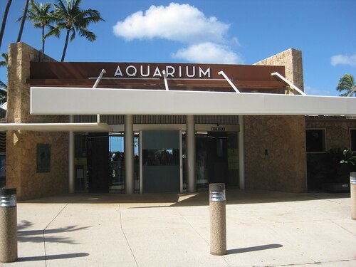 Guia de áudio de Honolulu: explore o Aquário de Waikiki