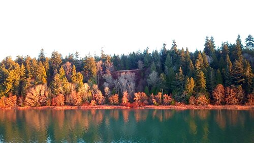 Audioguida di Vancouver: esplora il Pacific Spirit Regional Park