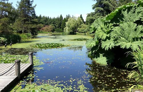 Audioguida di Vancouver: esplora il giardino botanico VanDusen