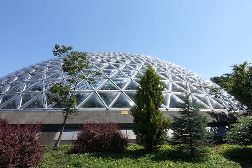 Guia de áudio de Vancouver: explore o Conservatório Bloedel