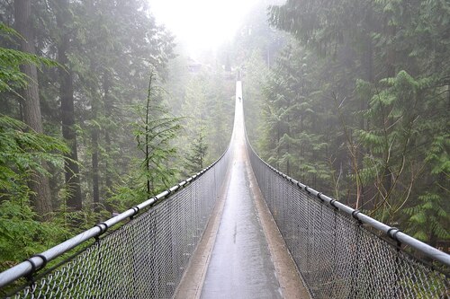 Audioguida di Vancouver: esplora il Parco del ponte sospeso di Capilano