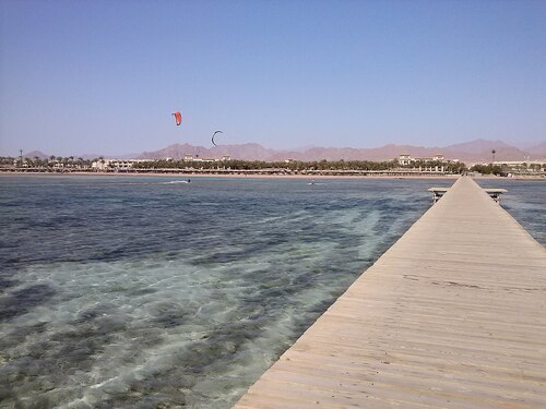 Audioguida di Sharm el Sheikh: esplora l'area protetta di Nabq