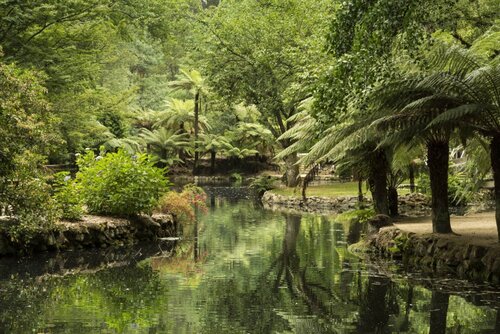 Melbourne Audio guide: Explore Dandenong Ranges