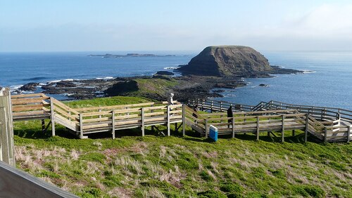 Melbourne Audio guide: Explore Phillip Island Nature Parks