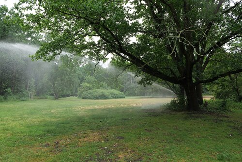 Berlin Audio guide: Explore Großer Tiergarten