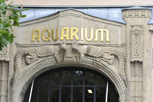 Berlin Audio guide: Explore Aquarium Berlin