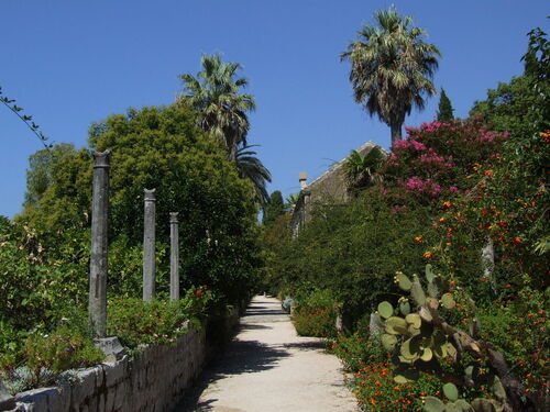 Guide audio de Dubrovnik : explorez l'arboretum de Trsteno