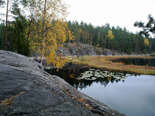 Guia de áudio de Helsinque: explore o Parque Nacional Nuuksio