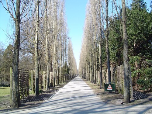 Audioguida di Copenaghen: esplora il cimitero di Assistens