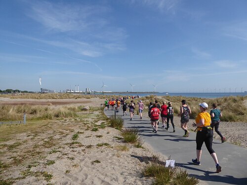 Audioguida di Copenaghen: esplora Amager Strandpark