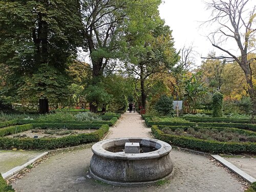 Madrid Audio guide: Explore Real Jardín Botánico