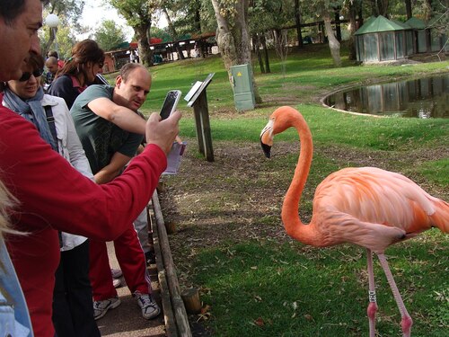 Madrid Audio guide: Explore Zoo Aquarium de Madrid