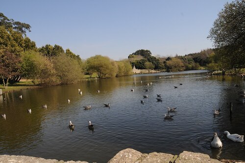 Audioguida di Porto: esplora il Parque da Cidade