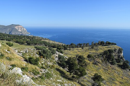 Palermo Audio guide: Explore Mount Pellegrino