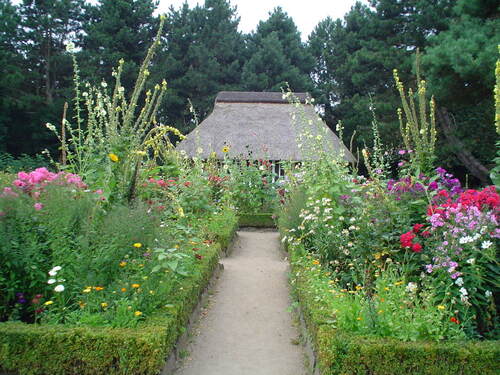 Audioguida di Amburgo: esplora il giardino botanico (Loki-Schmidt-Garten)