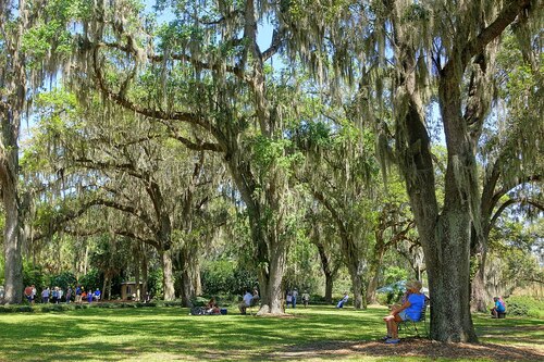 Guia de áudio de Orlando: explore o Bok Tower Gardens