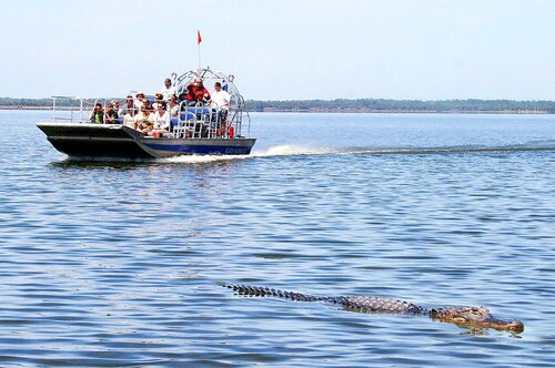 Guia de áudio de Orlando: explore as aventuras da Black Hammock e passeios de aerobarco